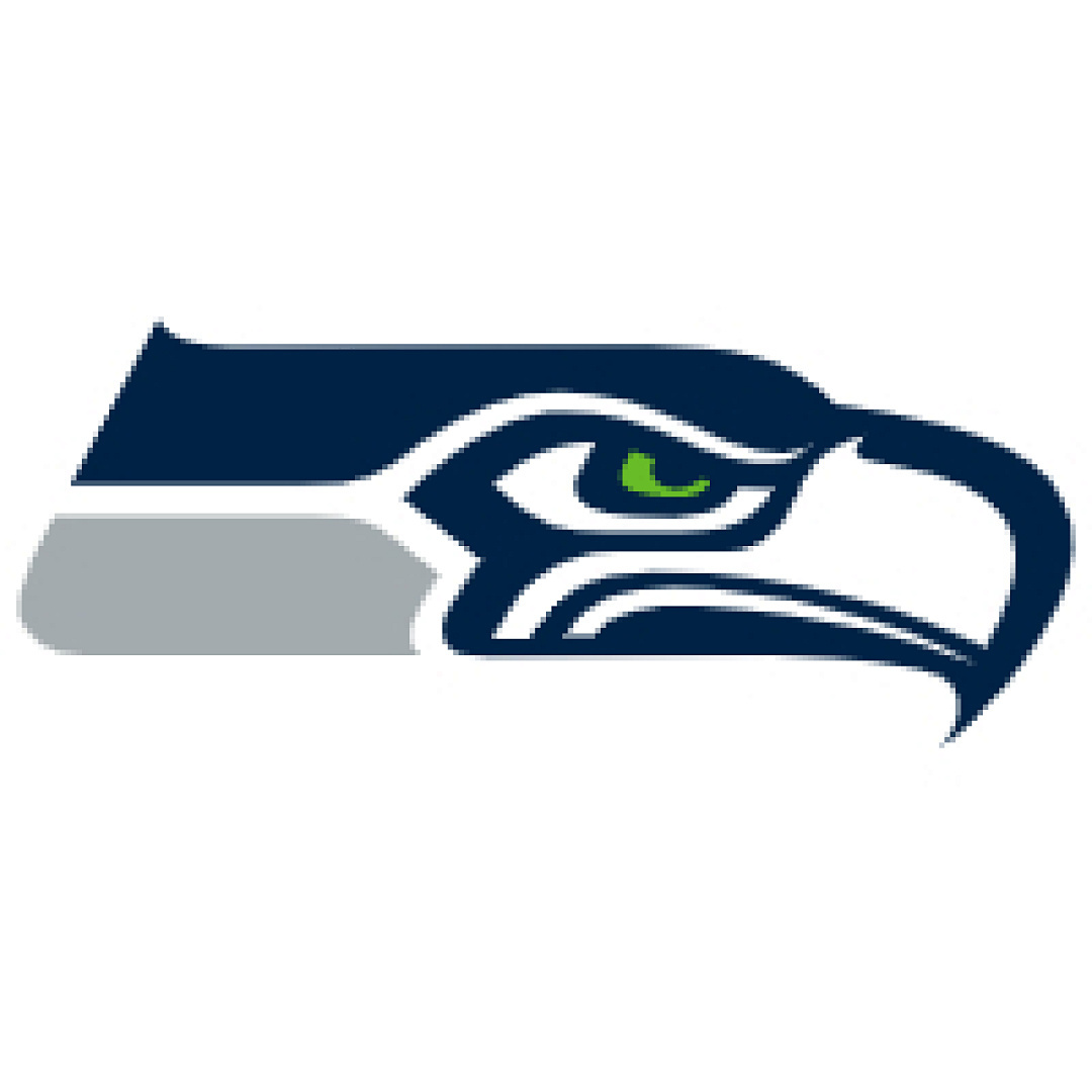 Seattle seahawks