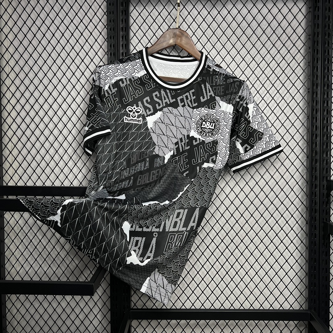 Denmark 2024/25 Euro Pre-match training Jersey