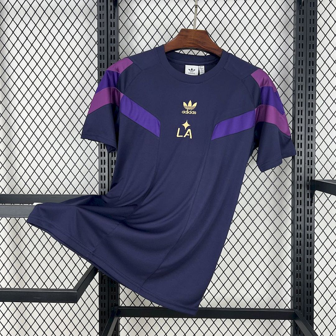 LA Galaxy 2025/26 Purple casual Jersey