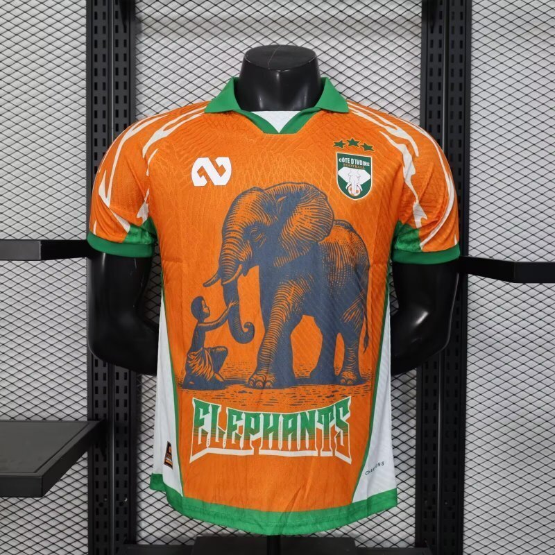 25-26 Ivory Coast Player Version Cheap Soccer Jerseys Yupoo