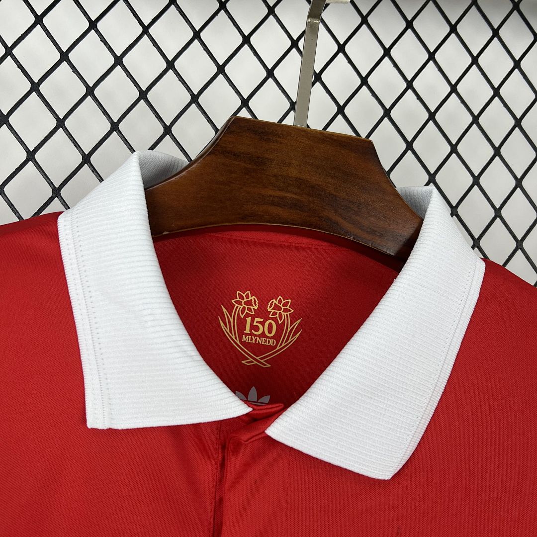 Mens Wales 2026 150th Anniversary Long Sleeve Jersey