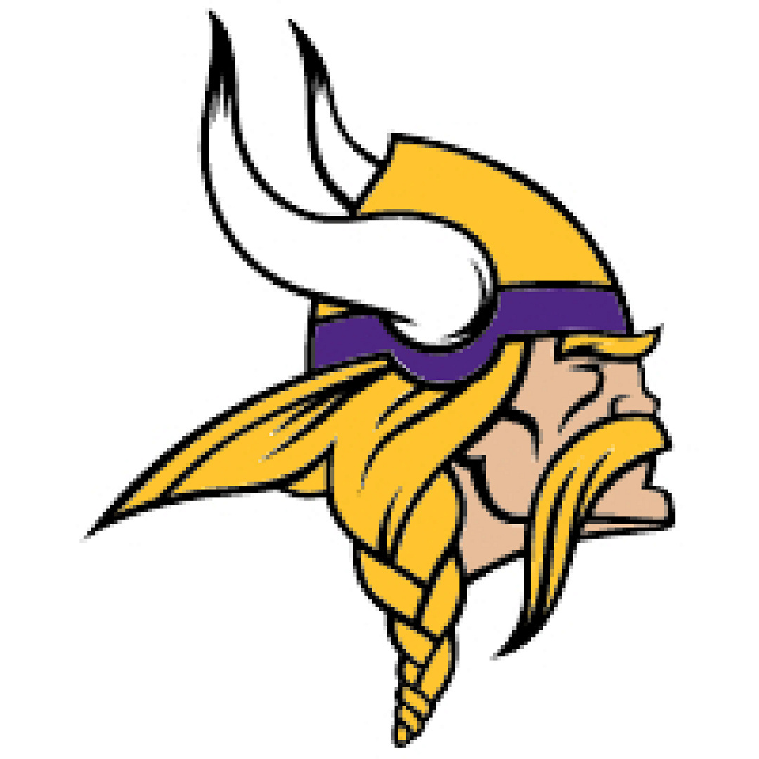 Minnesota vikings